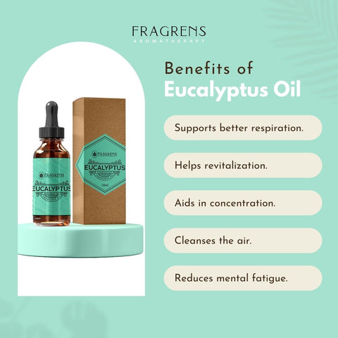 Eucalytpus Fragrance Oil